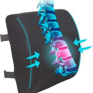 Lumbar Support Pillow